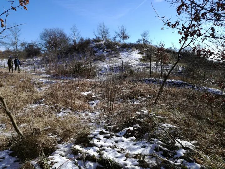 De Panne in de sneeuw (België)